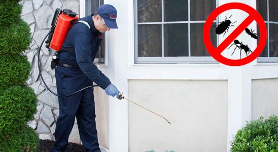 Derince Gümüşkurt İlaçlama böcek ilaçlama ve haşere kontrolü — ilaclama-tr.com